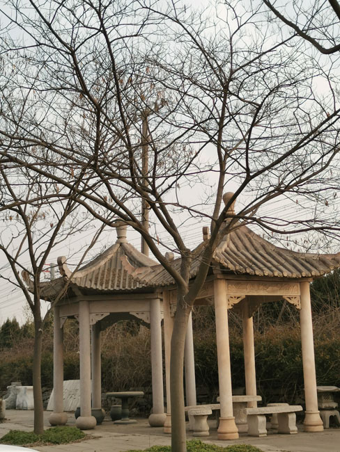 gazebo (4)