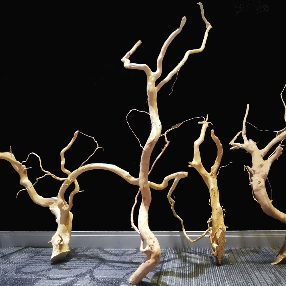 Aquarium and bonsai mangrove driftwood root Shandong Sanlei Trading