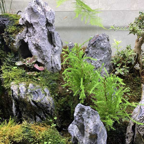 aquarium (23)