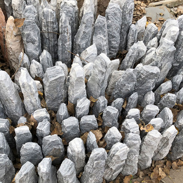 column (10)