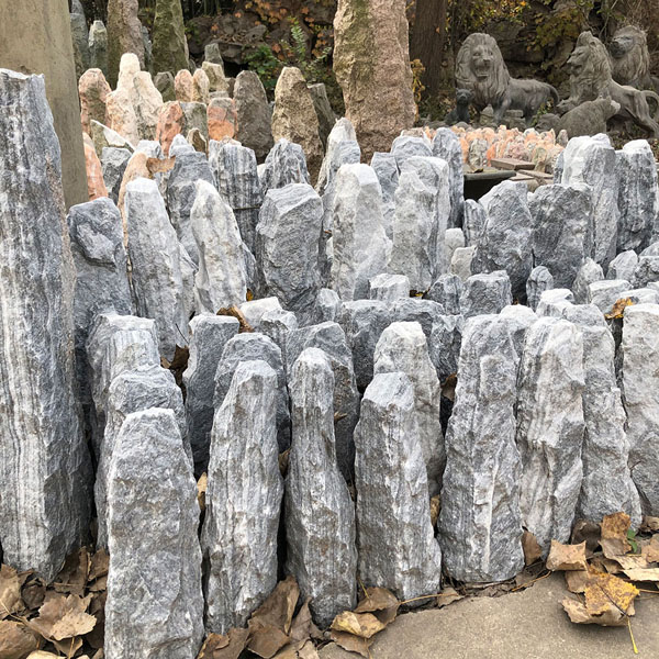 column (11)