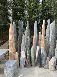 column (6)