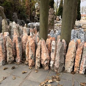 column (7)
