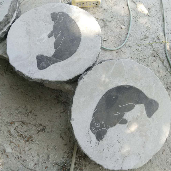  (5)