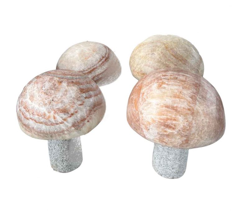  (1)